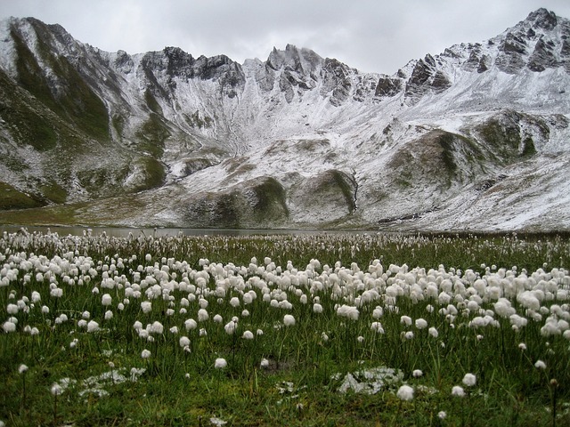 tignes