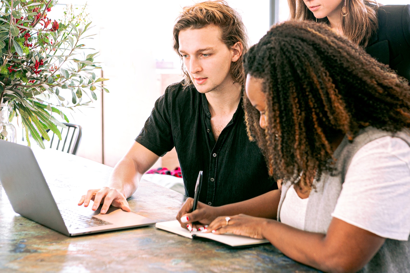 la formation professionnelle